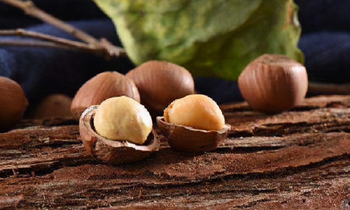 铁岭特产美食送人,铁岭有什么特产水果