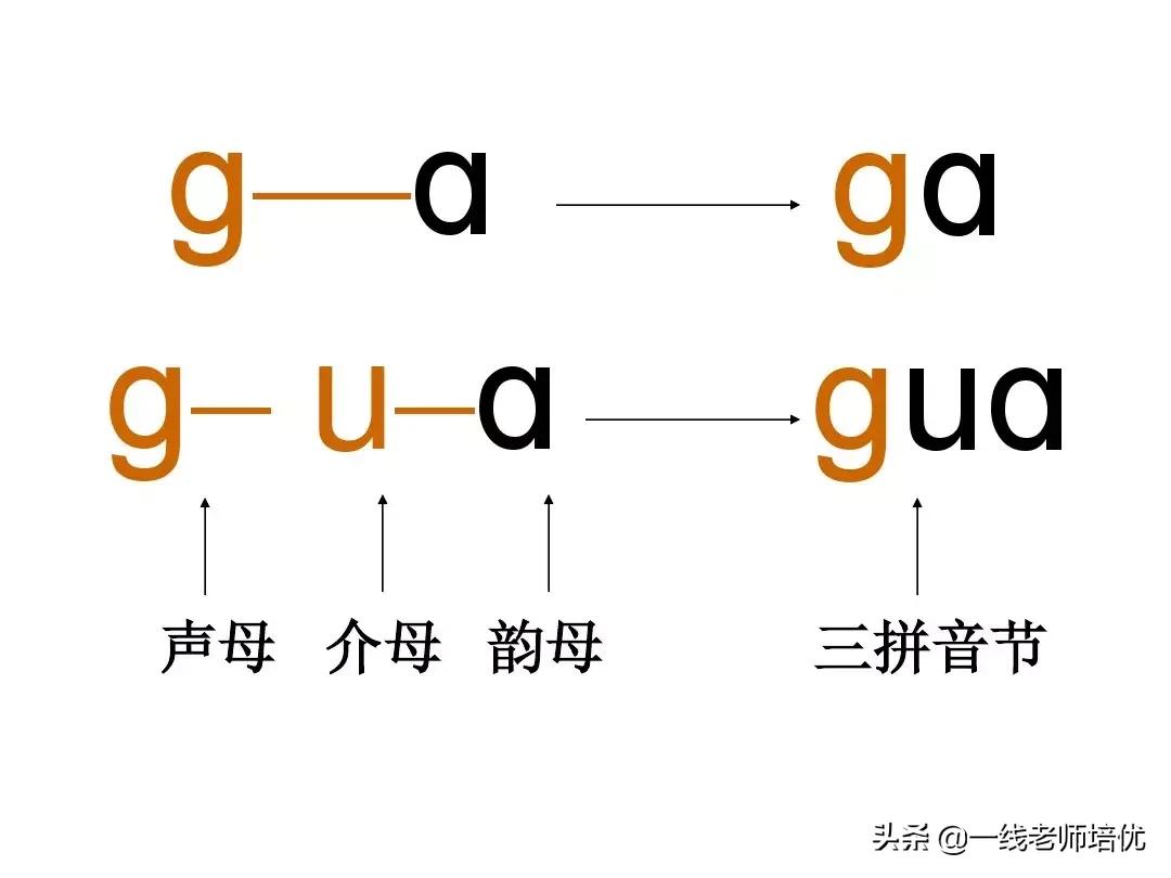 一年级汉语拼音和二年级汉语拼音,汉语拼音教学视频完整版一年级
