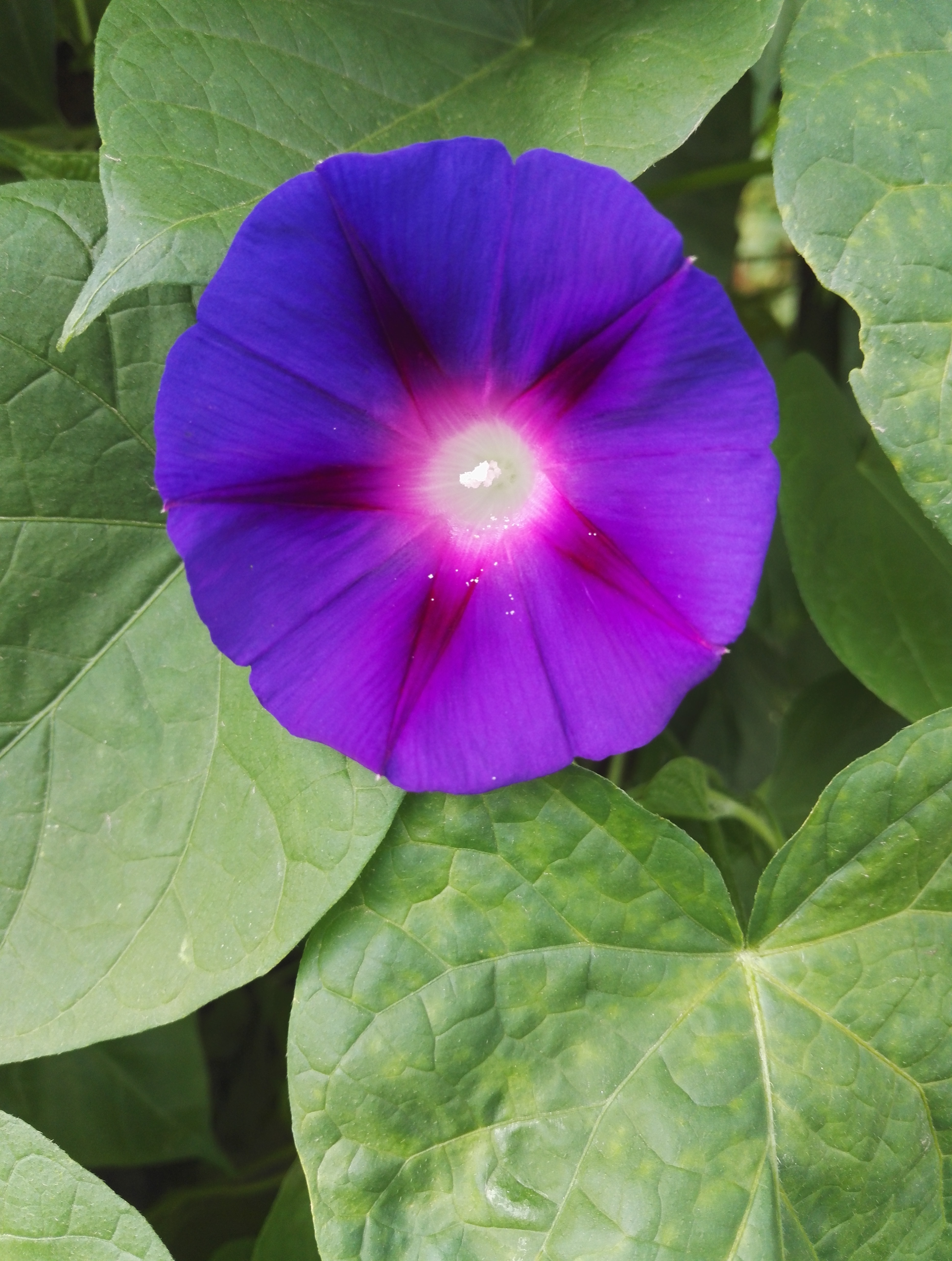 童书出版妈妈幸福教师培训感想