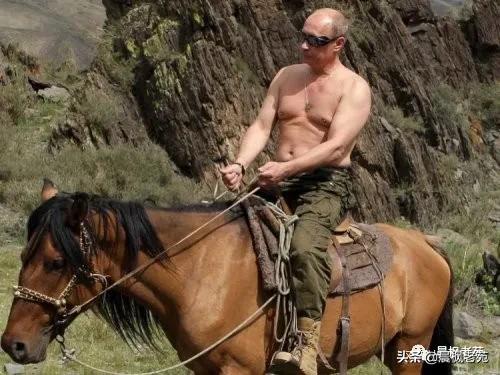 普京有魄力,对西方强硬著称的普京