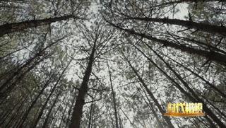 那位在人民大会堂“卖土豆”的院士，最近又刷屏了