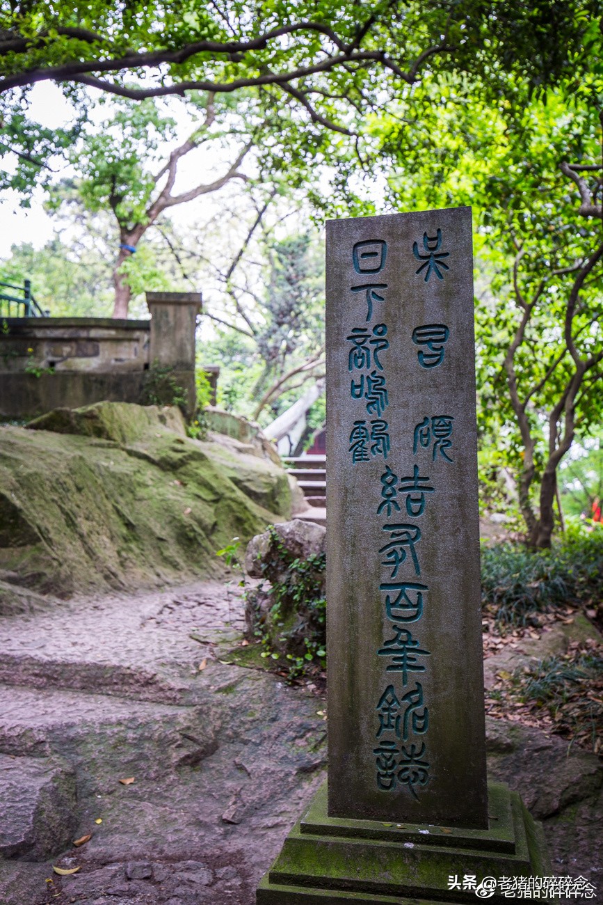 西泠印社百年之谜1-3集,探秘杭州西湖十景