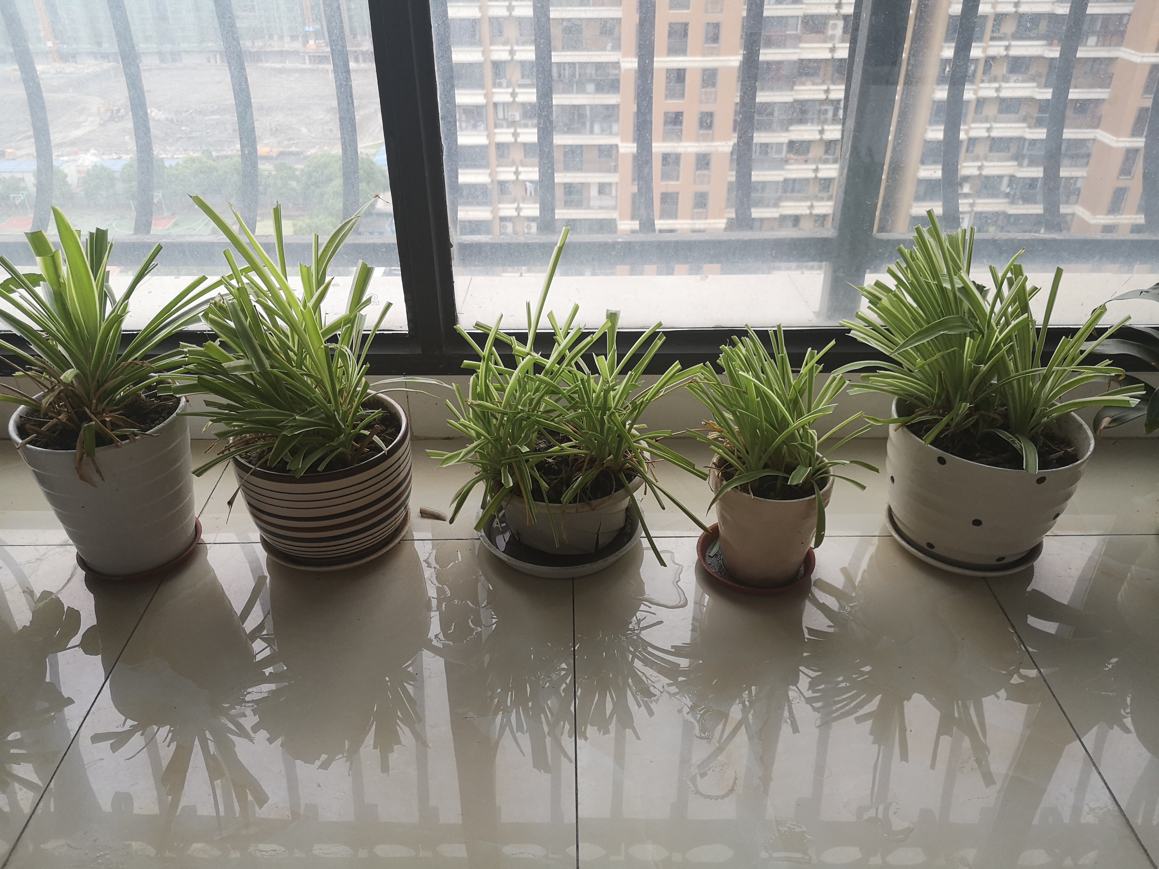 极简生活的护肤品,极简主义用的护肤品