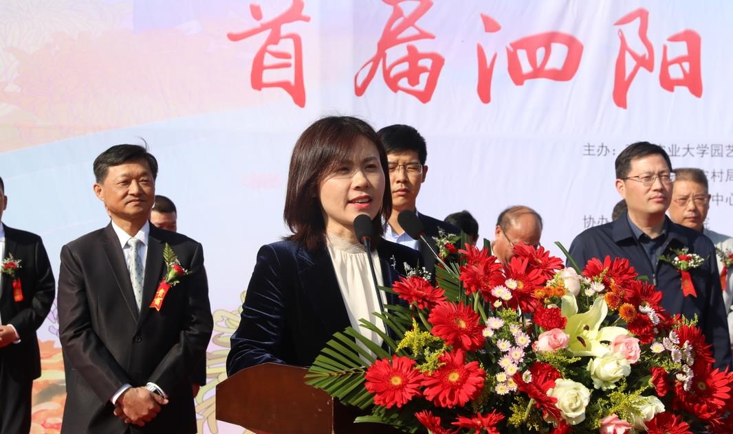 泗阳菊花展,菊花文化节通许分会场开幕