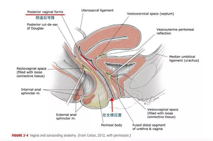 月经有血块颜色深怎么回事,大姨妈颜色鲜红有粘液有血块