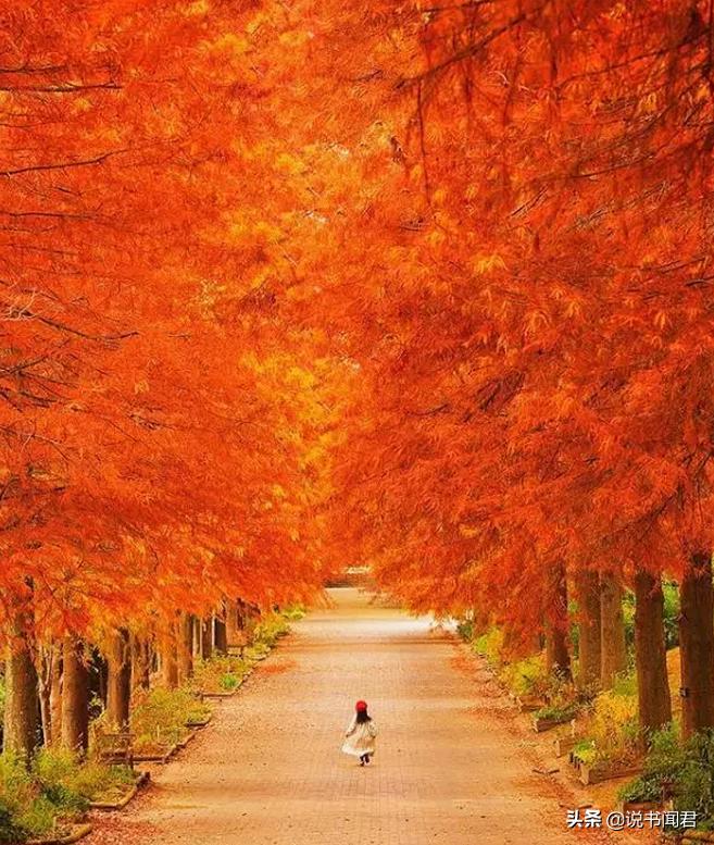 日本女孩为什么这么精致,日本女生的精致感