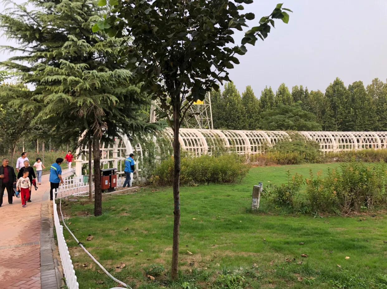 郑州免费公园树木园,郑州树木园开放