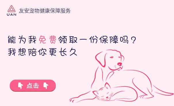 猫咪抓了一下主人一晚上没睡,主人被猫咪抓直流了一点血没事嘛