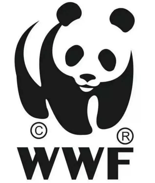 有没有比熊猫更珍稀的动物,没有熊猫的国宝