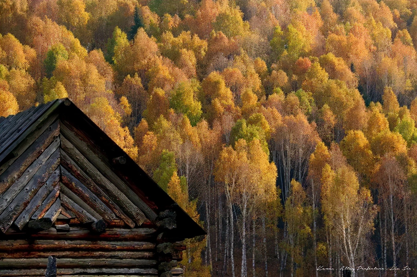 北疆四季,北疆的四季美景
