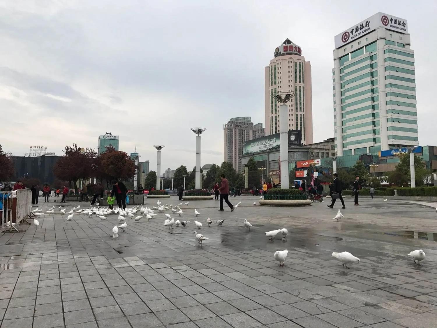 汉中新增初中学校,汉中市最新计划建设学校