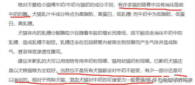 猫咪乳糖不耐受吃什么猫粮,猫咪不爱喝奶该如何解决