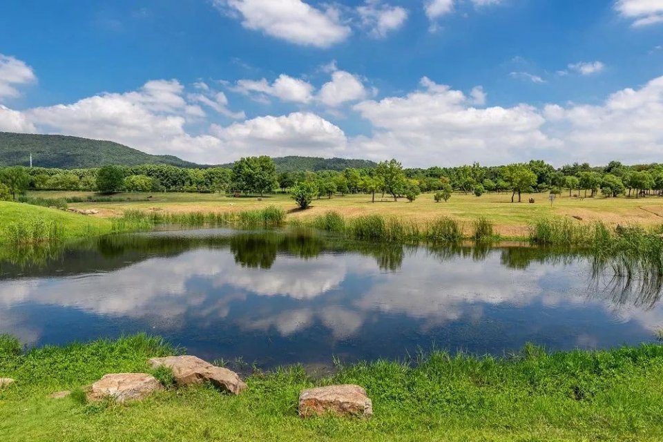 南京免费的公园,太全了全国旅游简图