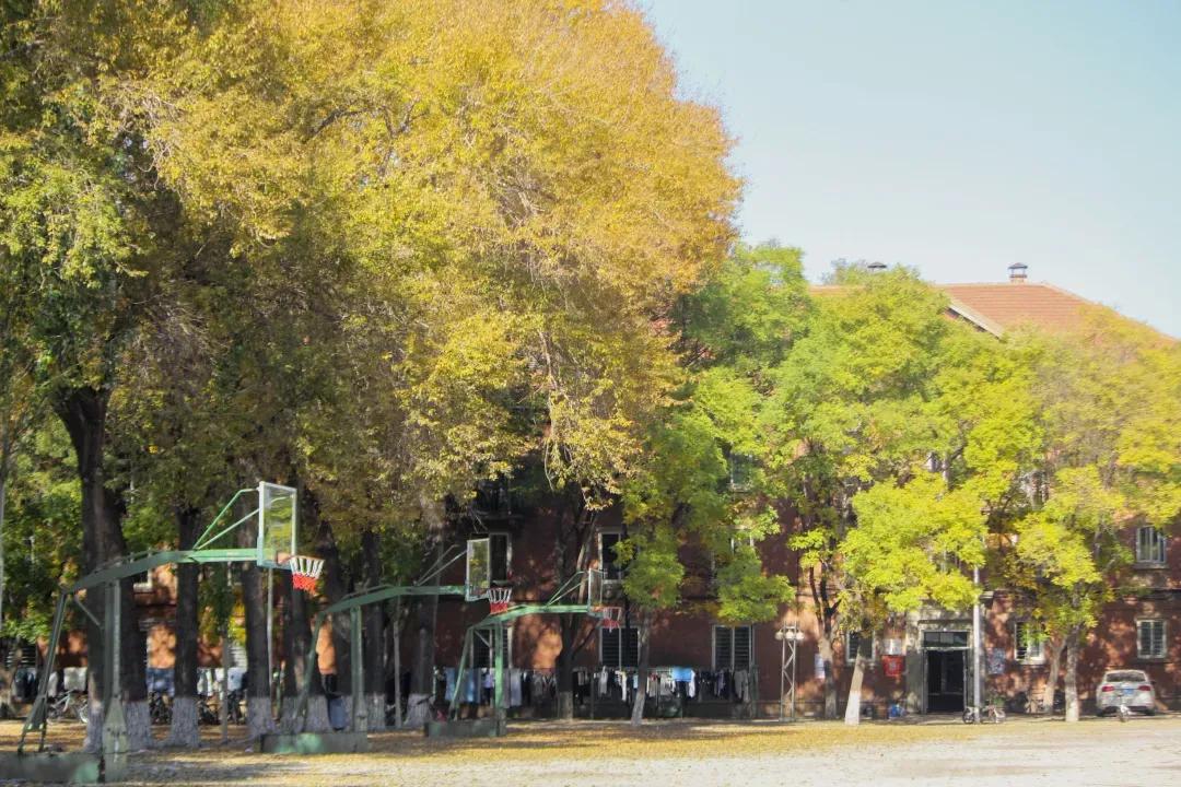 辽宁工程技术大学辽宁省分数线,辽宁工程技术大学在辽宁省排名