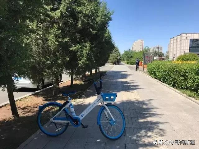 呼和浩特和乌鲁木齐的对比,呼和浩特和乌鲁木齐哪个城市好