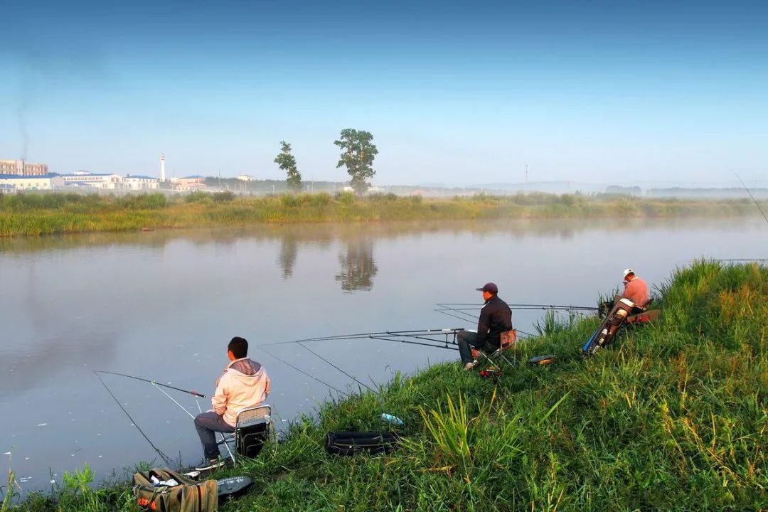 小鱼老往水面上跑怎么办,钓鱼怎么解决挡口问题