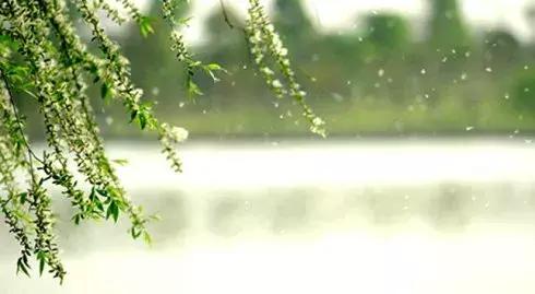 咳嗽!流鼻涕!拉肚子!这个病让孩子长期遭罪,别再当感冒治了