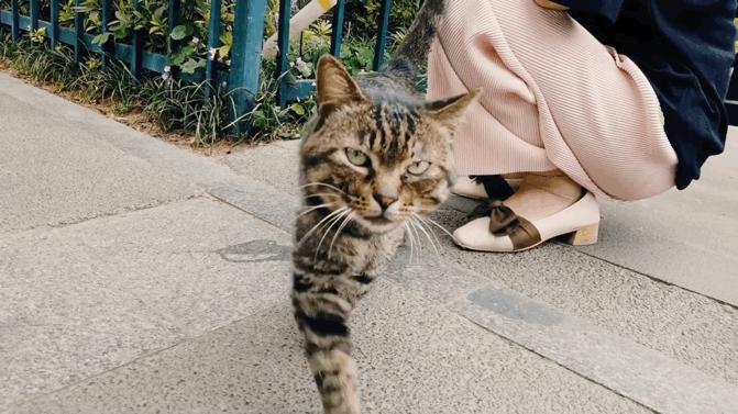 自己拍旅游vlog需要什么装备,不走冤枉路不花钱攻略