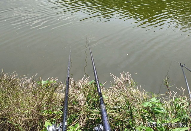 新手钓鱼必看知识点,新手钓友必看