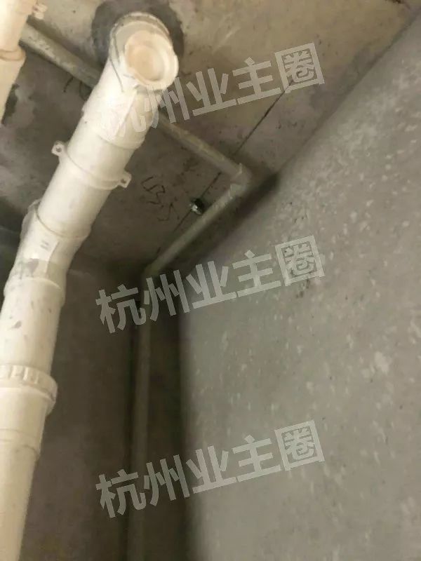 绿都什么意思,绿都包括哪些绿