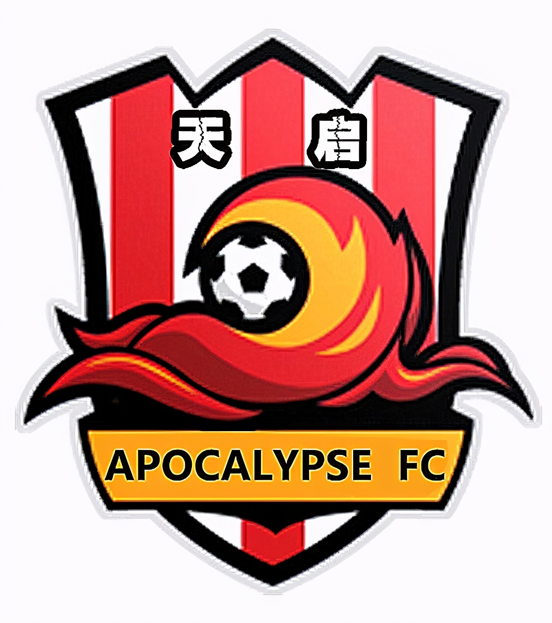 山东省青少年足球联赛队徽,山东省队徽章