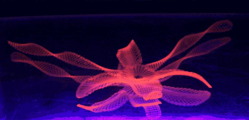 每日一问40问,每日一问第8集