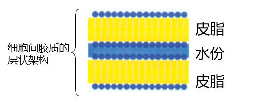 皮肤基础知识及各类皮肤护理重点,皮肤的基础医学知识及护理重点