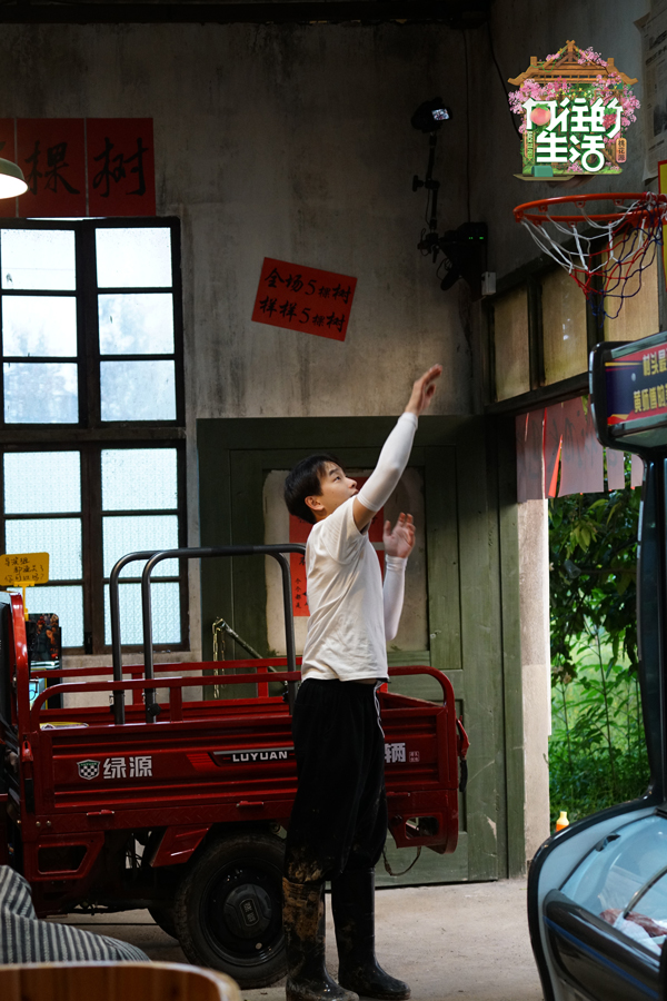 向往的生活第4季做农活,向往的生活第五季搬树