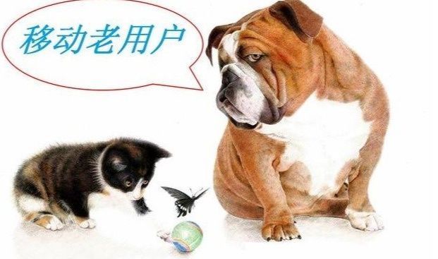 广东移动20元不限流量处理结果,移动不限流量套餐的办理