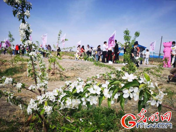 昔日废坑塘今朝万亩田,昔日垃圾场变身高颜值花海