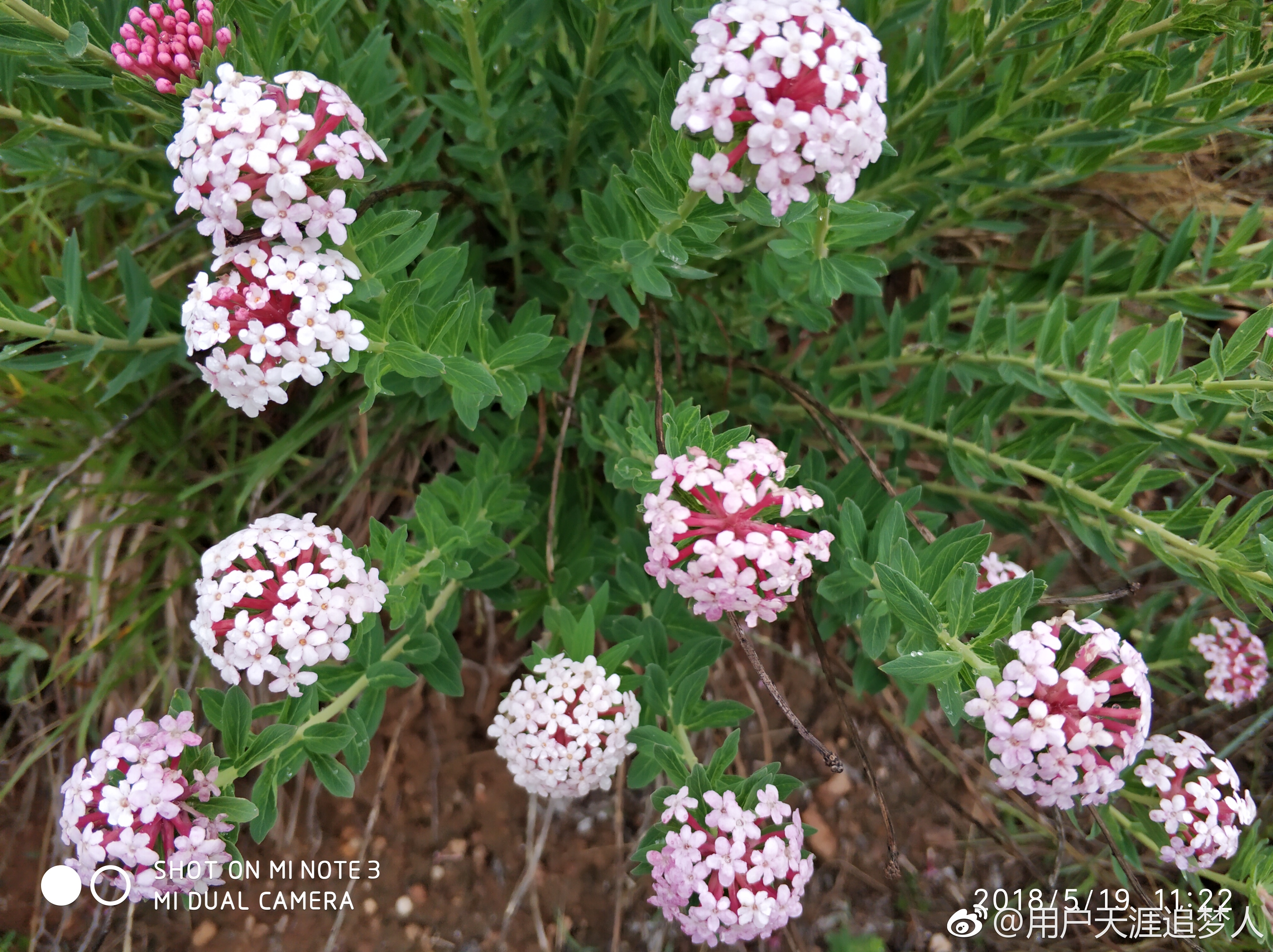 太行大峡谷步行旅游攻略,太行大峡谷最新旅游攻略