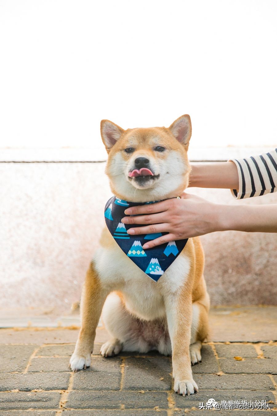 高考择校tips,高考择校指导985211