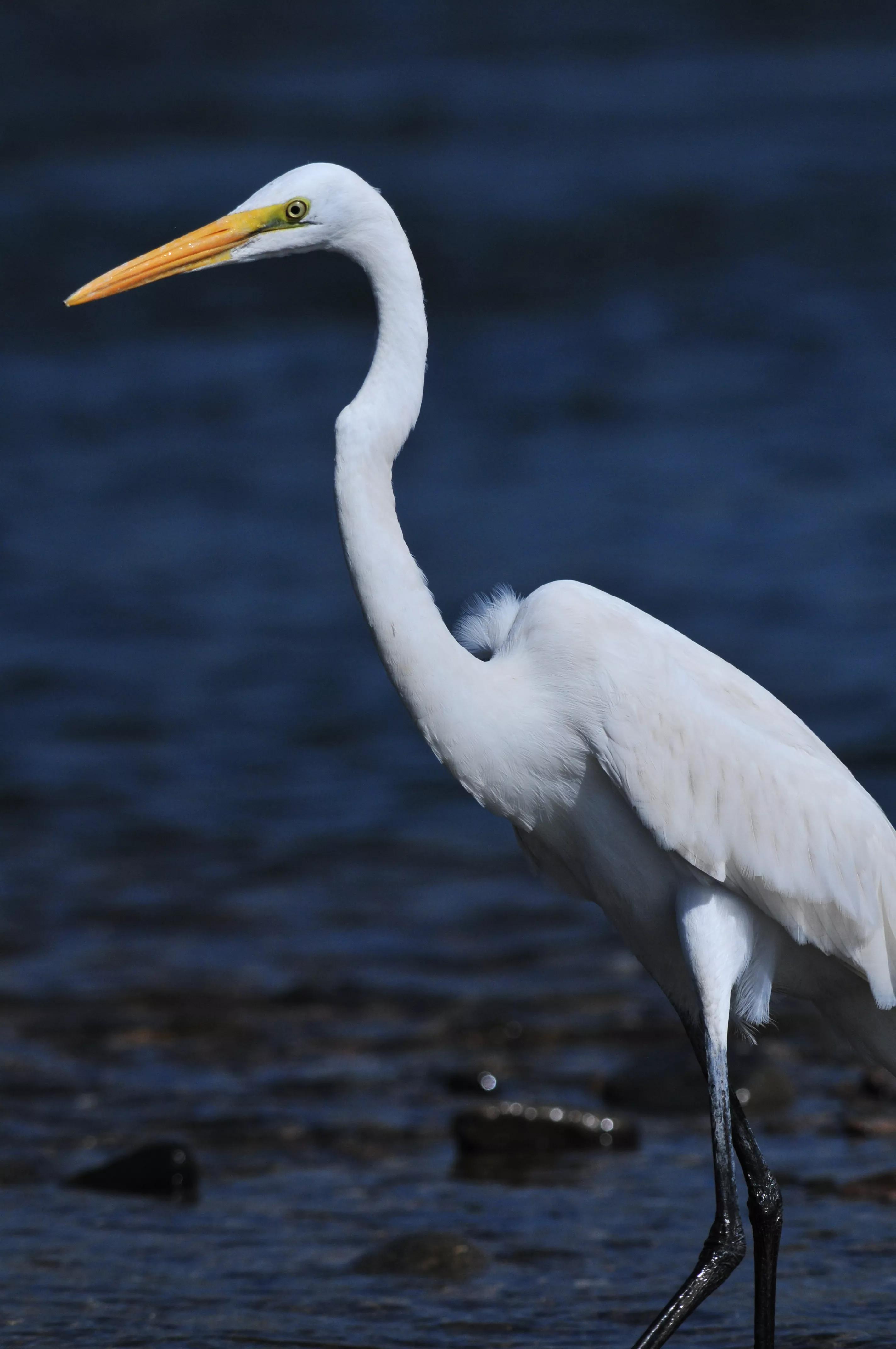 镜头装增距镜光圈会变化吗,镜头加增距镜后虚化效果会变好吗