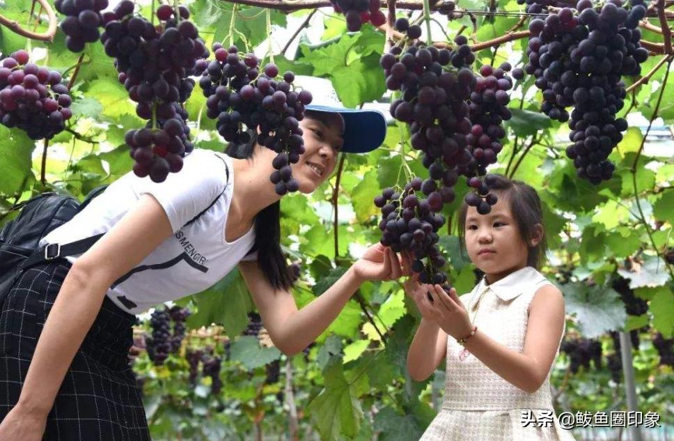 辽宁九月好去处,九月辽宁旅游推荐