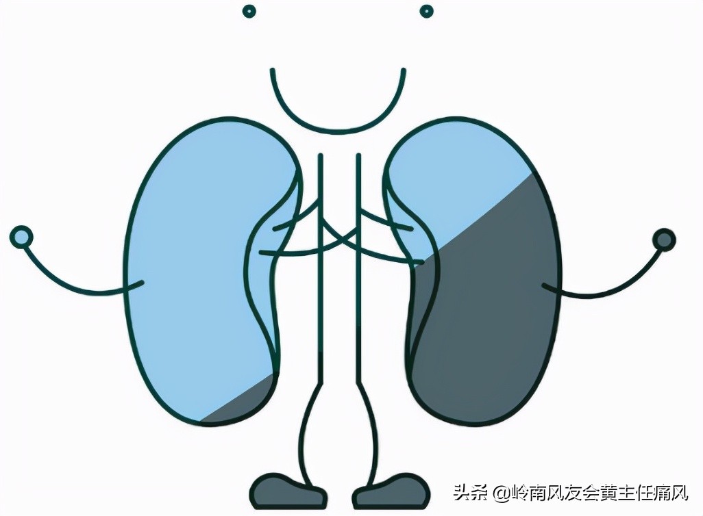 痛风和肌酐高注意事项,肌酐升高的原因痛风