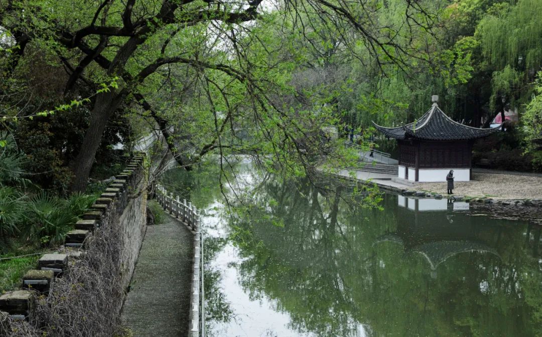 扬州值得吃的地方,扬州有什么值得购买