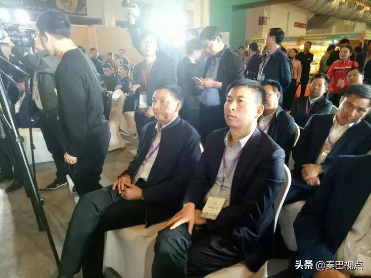 秦汉古茶价格,秦汉古茶图片