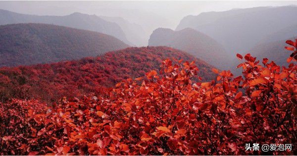 青天河长城,河南青天河景区游览图大全最新