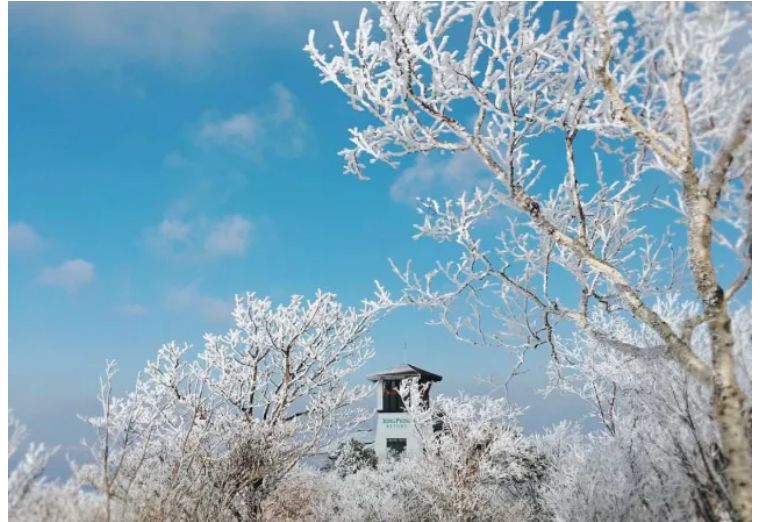 韩国滑雪场哪个最好玩,国内必去十大滑雪场滑雪攻略