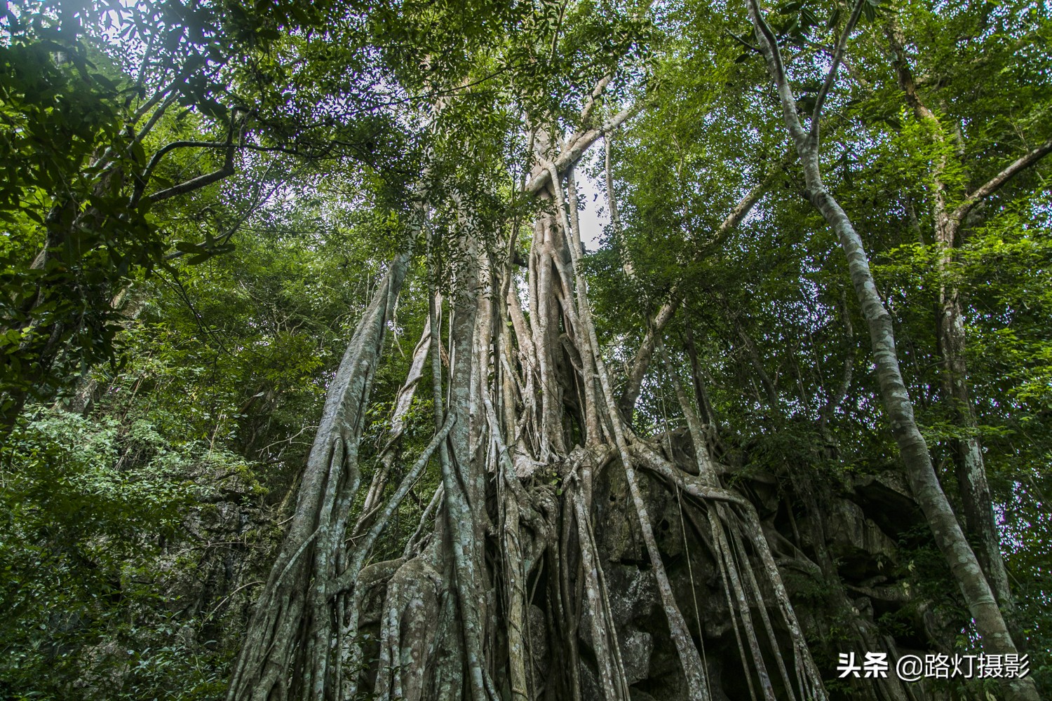 云南有多少5a级景区,云南省有多少个5a景区
