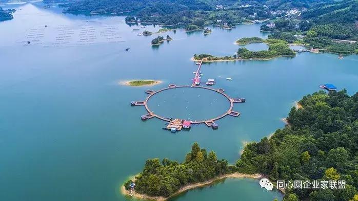 同心圆企业家联盟视频,企业家联盟2019