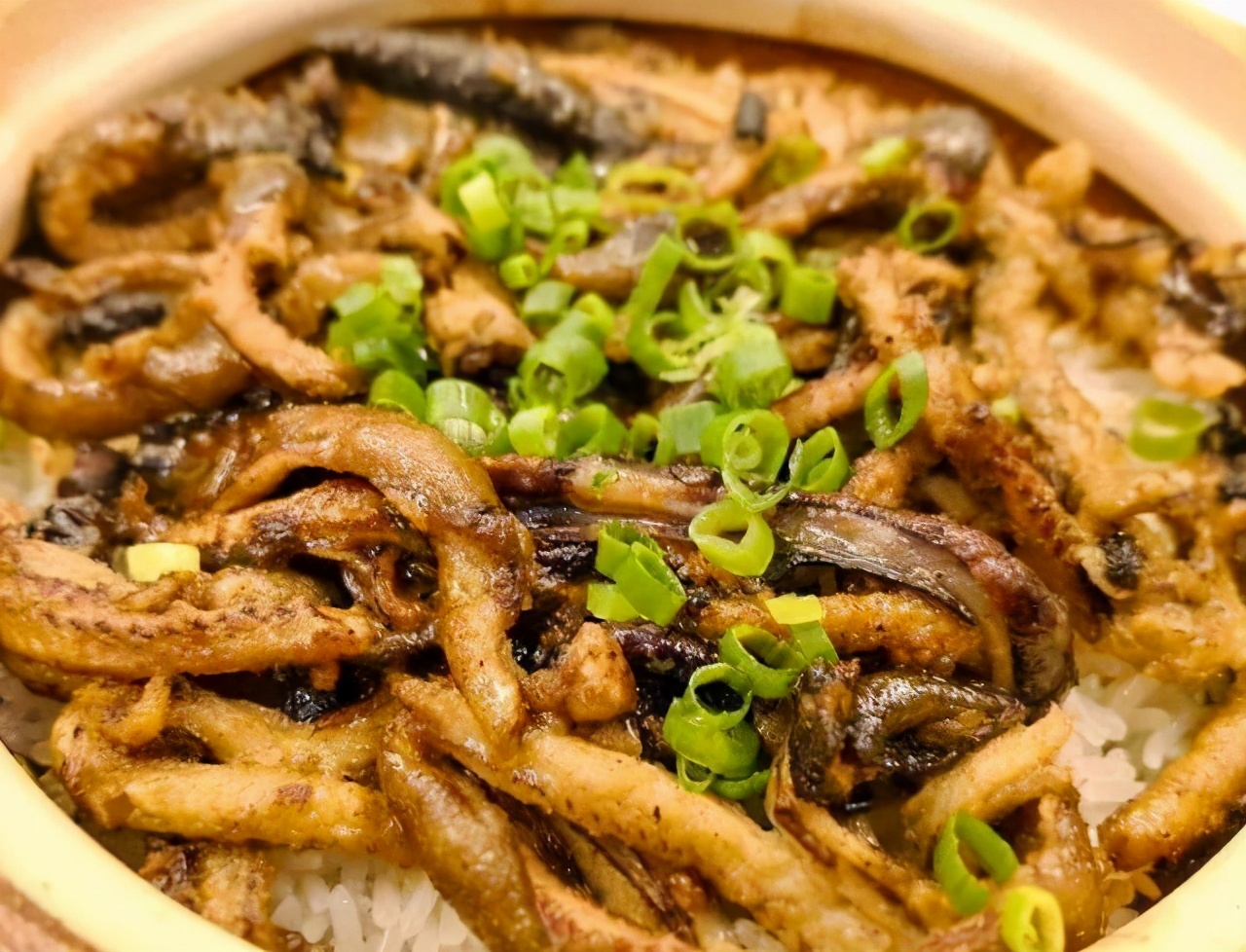 几款菜肴分享菜品新鲜味道独特,简单家常菜推荐菜谱广东