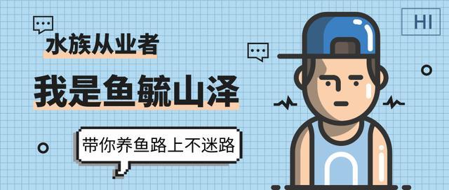 鱼缸各种过滤方式效果排名,鱼缸过滤方式排名