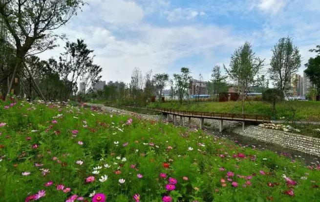 前所未有开新篇成都建设大美公园城市
