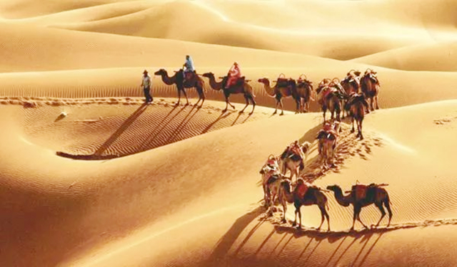 开封犹太人在以色列,开封犹太人回以色列后怎么样了