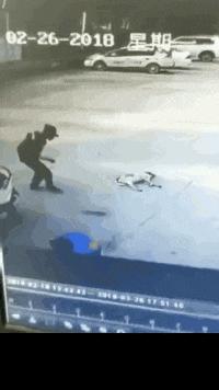 搞笑gif说出来你可能不信,搞笑gif真是令人窒息的操作