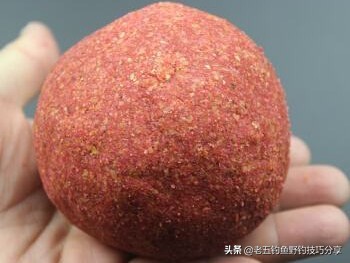 鲤鱼很难钓吗视频,鲤鱼最难的做法