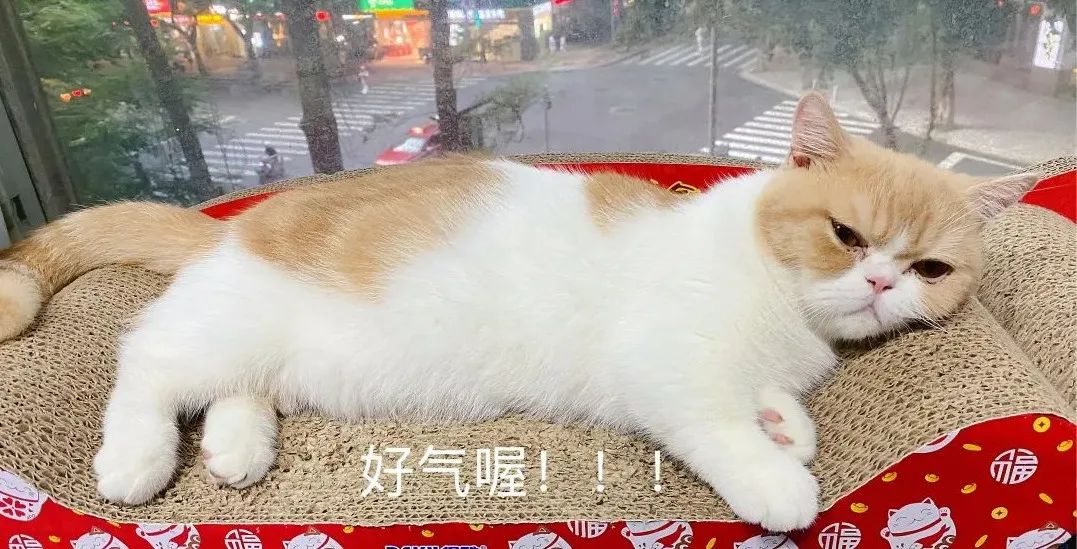 一招教你彻底祛斑,轻松祛斑先养肝