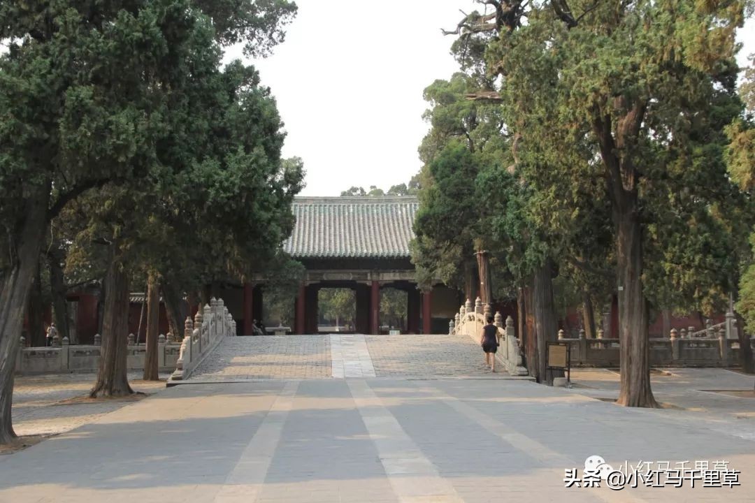 曲阜孔府孔庙孔林历史背景,曲阜孔府孔庙孔林一游
