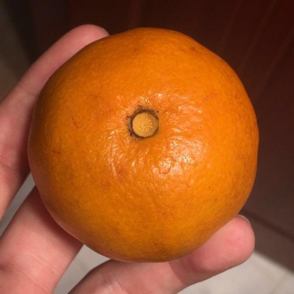 10个让人震惊的冷知识,最有趣的10条冷知识点